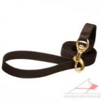 Nylon Dog Lead for Dog Walking