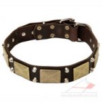 Dog Collar of Vintage Design with Old Brass Plates and Pyramids