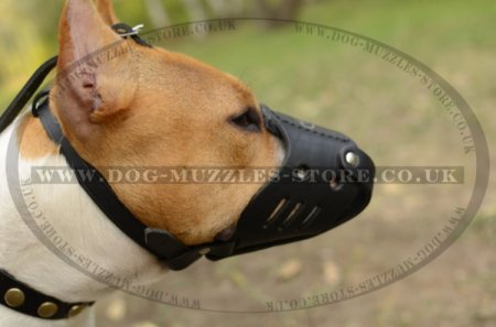 Durable Leather Padded Dog Muzzle For Staffordshire Bull Terrier