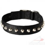 Nylon Dog Collar with Glancing Pyramids | New Strong Dog Collar