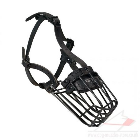 The Best Dog Muzzle for Doberman Pinscher, Black Dog Muzzle