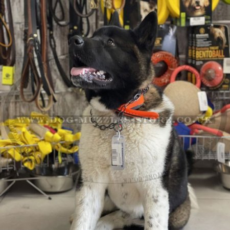 Black Stainless Steel Fur Saver Collar for Dog Training