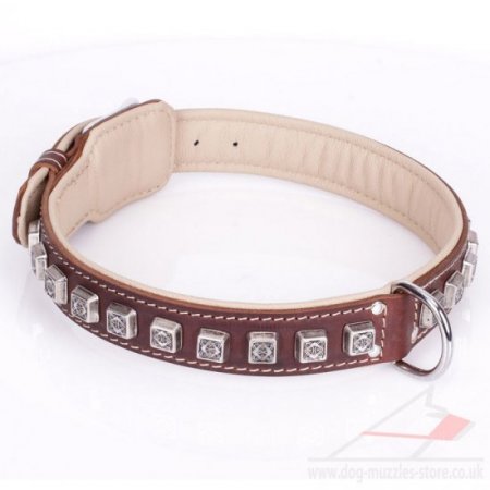 "Cube" High-Quality Brown Leather Dog Collar With Adornment