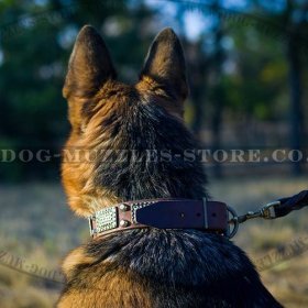 Exclusive Leather Dog Collar for German Shepherd