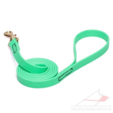 Neon Green Dog Leash 6 ft Strong Biothane