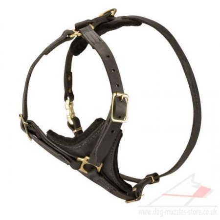 Spaniel Dog Harness with Padded Triangle Chest Plate