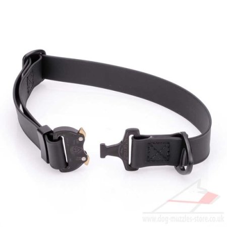 1" Medium to Large Waterproof Dog Collar with Metal Clasp