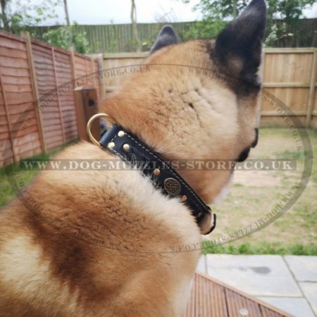 Luxury Leather Dog Collar | Large Dog Collar of Exclusive Design