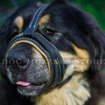 Dog Barking Deterrent Muzzle for Mastiff, Soft Padded Loop Shape