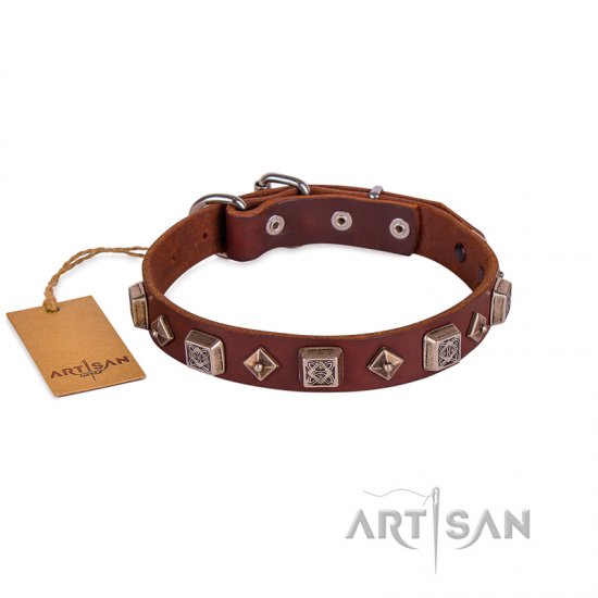 Best Brown Thick Studded Dog Collar FDT Artisan For Active Walk