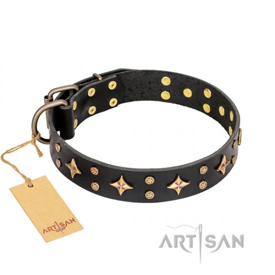 Fashionable Designer Leather Dog Collar FDT Artisan 'A la Mode'