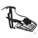 Relaible Basket Muzzle For Staffordshire Bull Terrier