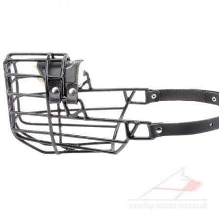 Best English Bull Terrier Basket Muzzle Black Rubber Covered