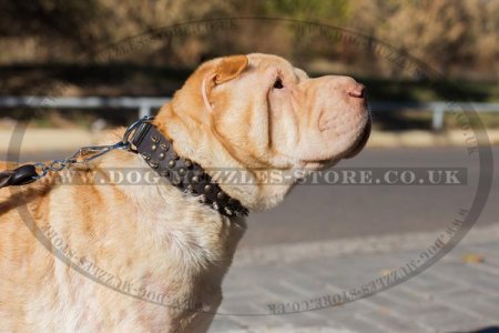 "Perfect Look" Ultramodern Brown Leather Dog Collar For Shar Pei