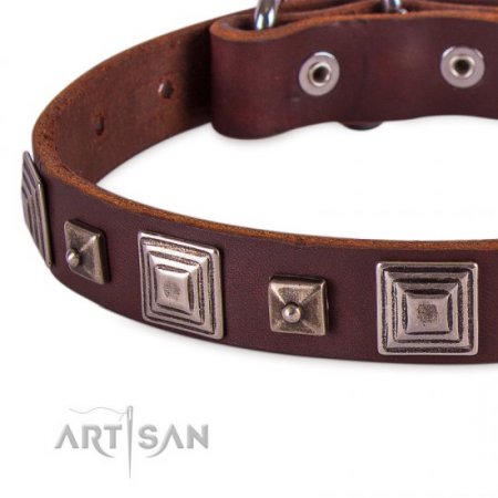 Elegant Brown Studded Dog Collar FDT Artisan 1" Width