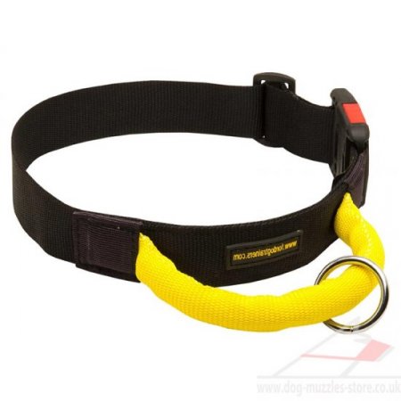 Best Spaniel Dog Collar with Handle for Training and Working