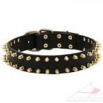 New Dog Collars UK with Brass Spikes