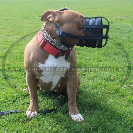 Bestseller Shar Pei Dog Muzzle of Soft Leather, Super Air-Flow