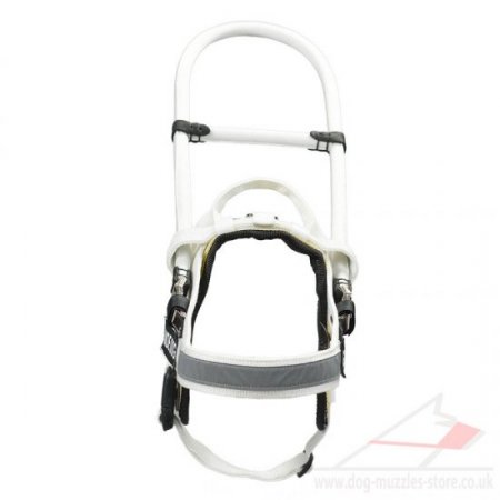 "Your Lifeguard" Comfortable Nylon Guide Dog Harness UK