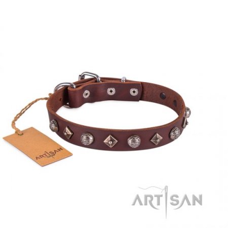 Exclusive Brown Leather Dog Collar With Nameplate UK