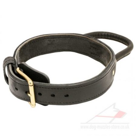 2 Ply Strong American Bulldog Collar for Large Dogs with Handle