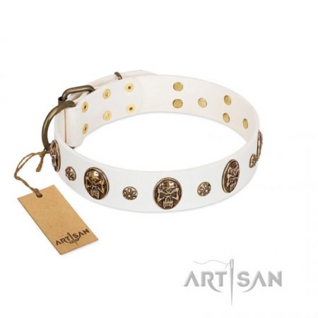 bullet dog collar