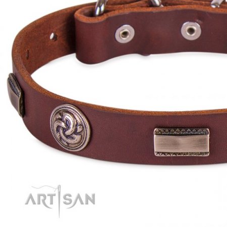 Functional Brown Studded Buckle Dog Collar FDT Artisan