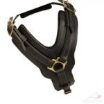 Favorite Large Leather Dog Harness UK Best Seller