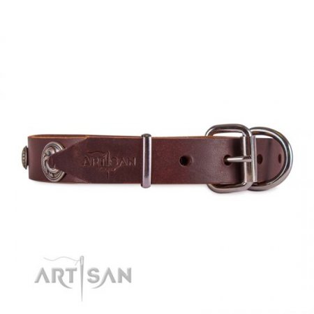 Fashionable Dark Brown Leather Dog Collar For Daily Walking