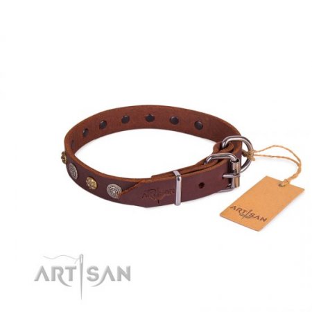 Adorned Brown Leather Dog Collar For Dogs 1 In Width
