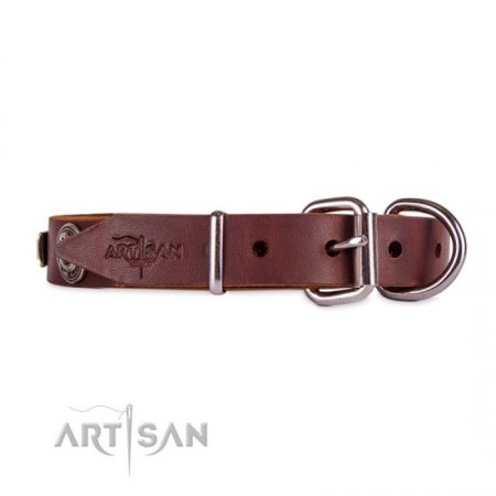Functional Brown Studded Buckle Dog Collar FDT Artisan