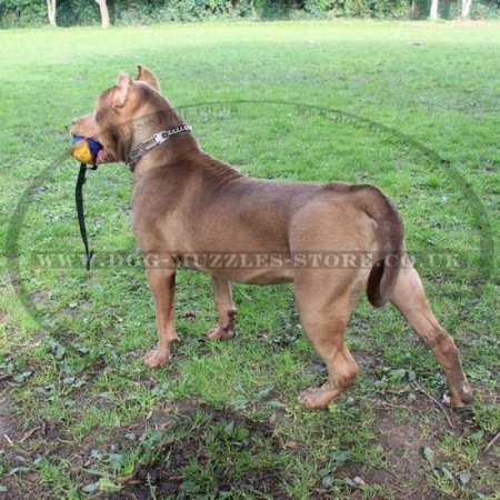 Small Dog Tug Training Toy with Handle
