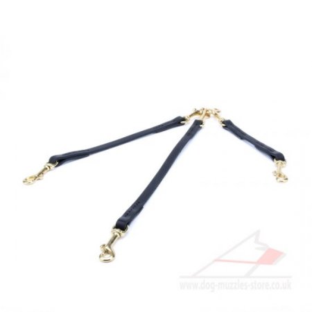 New! Triple Dog Slip Lead "Inseparable Friends"