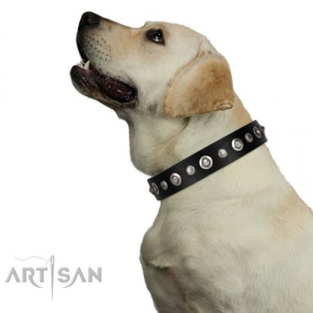 Luxury Black Leather Dog Collar with Studs FDT Artisan