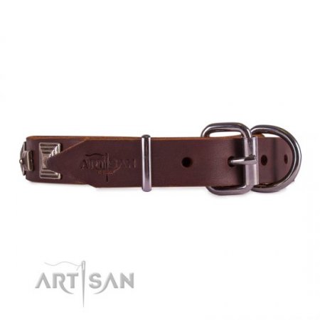 Elegant Brown Studded Dog Collar FDT Artisan 1" Width