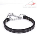 Great Martingale Dog Collar 'Safe Control' 1 inch (25 mm) wide