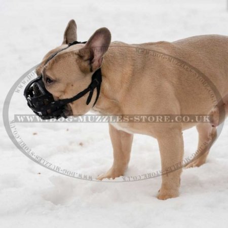 French Bulldog Muzzle UK | Leather Dog Muzzle for Frenchie