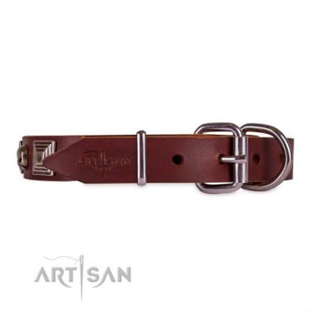 Extravagant Brown Leather Dog Collar With ID Plate FDT Artisan