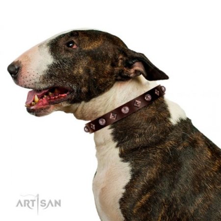 Exclusive Brown Leather Dog Collar With Nameplate UK