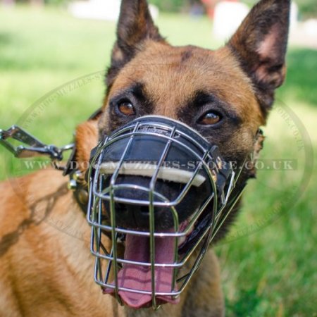 Belgian Malinois Muzzles | Belgian Shepherd Muzzles Best Choice