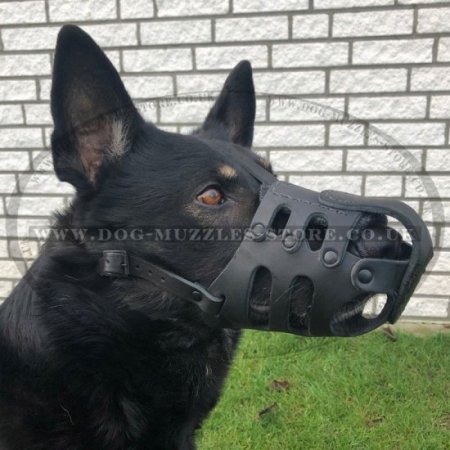 Muzzles for Dogs with Long Snout, Reliable and Soft Leather