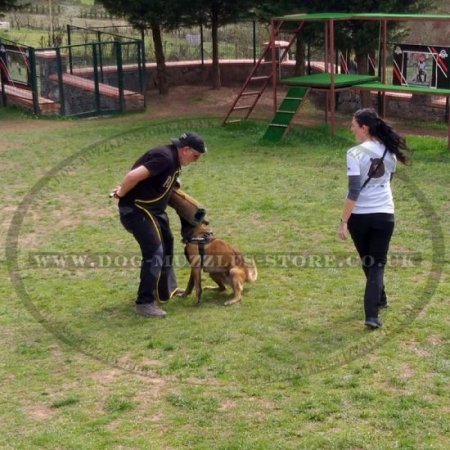 Water-repellent Nylon Dog Training Treat Apron