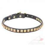Dog Walking Collar Studded with Square Brass Pyramids