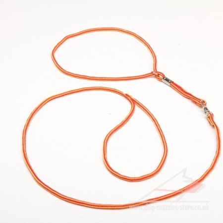 Nylon Rope Dog Leash and Collar All in One for a Dog Show