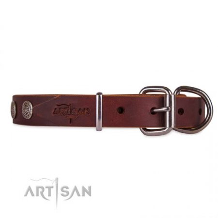 Handcrafted Brown Studded Buckle Dog Collar FDT Artisan