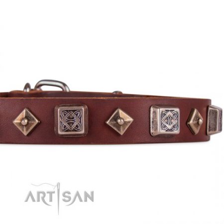 Best Brown Thick Studded Dog Collar FDT Artisan For Active Walk