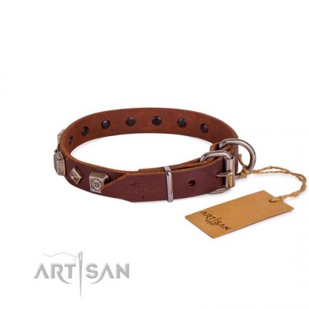 Best Brown Thick Studded Dog Collar FDT Artisan For Active Walk