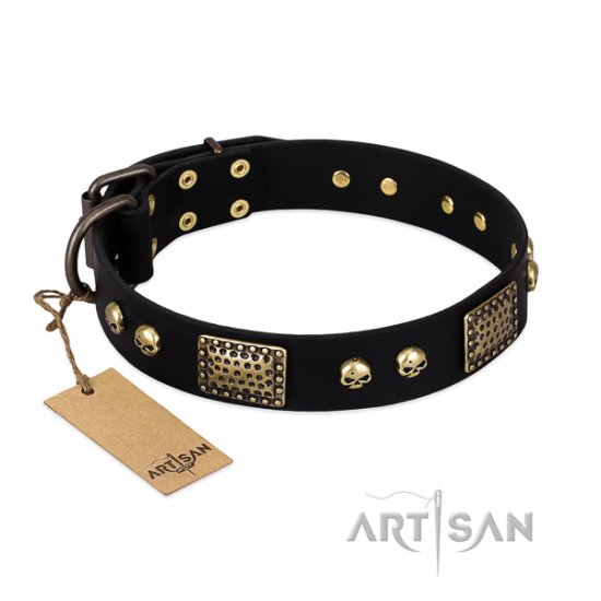 Fashionable Black Dog Collar FDT Artisan 'Biker Style'