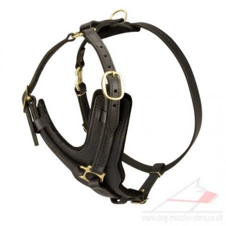 Super Comfy Y-Shaped Dog Chest Harness for Spaniel