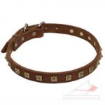 Handmade Leather Dog Collars UK | Leather Dog Collar with Studs